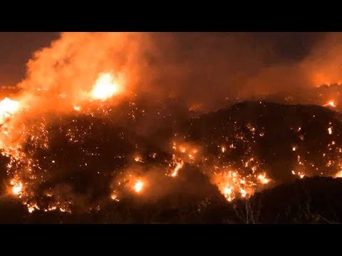 لبنان يحترق والأهالي يستغيثون: احترق الأرز و شجر الزيتون وما يتم إطفاؤه ليلا يشتعل صباحا