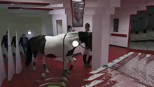 Bande-annonce : Enquête de santé du 21 juin 2021