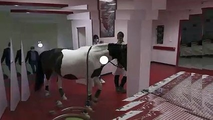 Bande-annonce : Enquête de santé du 21 juin 2021