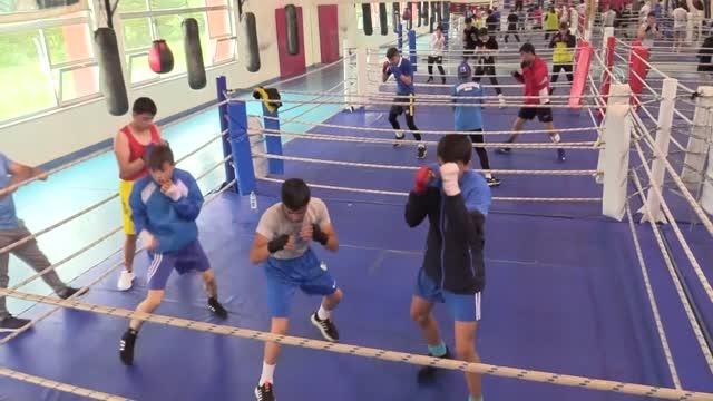 KASTAMONU - Yıldız Erkek Boks Milli Takımı'nın kampı devam ediyor