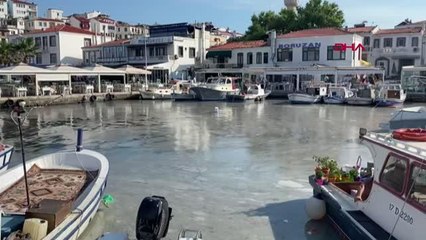 ÇANAKKALE BOZCAADA'DA TEDİRGİN EDEN MÜSİLAJ GÖRÜNTÜSÜ - TEKRAR