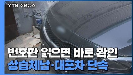 [서울] "상습체납·대포차 꼼짝마라!"...서울시, 특별 단속 / YTN
