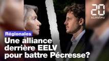 Régionales en Ile-de-France: Une alliance derrière EELV pour battre Pécresse