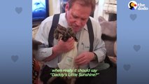 Cat Goes Absolutely Everywhere With His Dad _ The Dodo Soulmates # ANIMAL LOVERS
