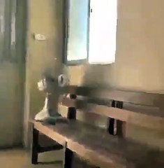 فيديو متداول للحظة وصول باسم عوض الله إلى محكمة أمن الدولة