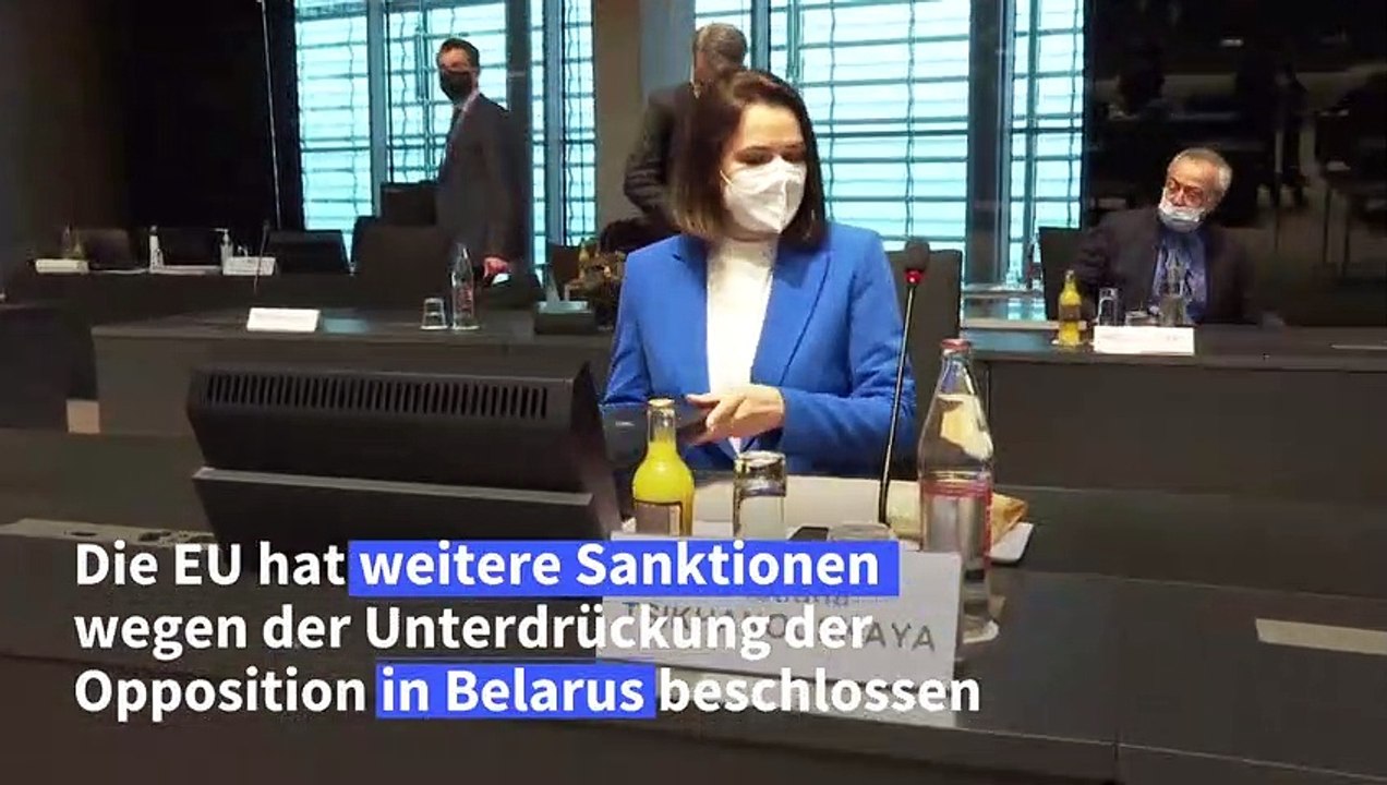 EU beschließt Wirtschaftssanktionen gegen Belarus