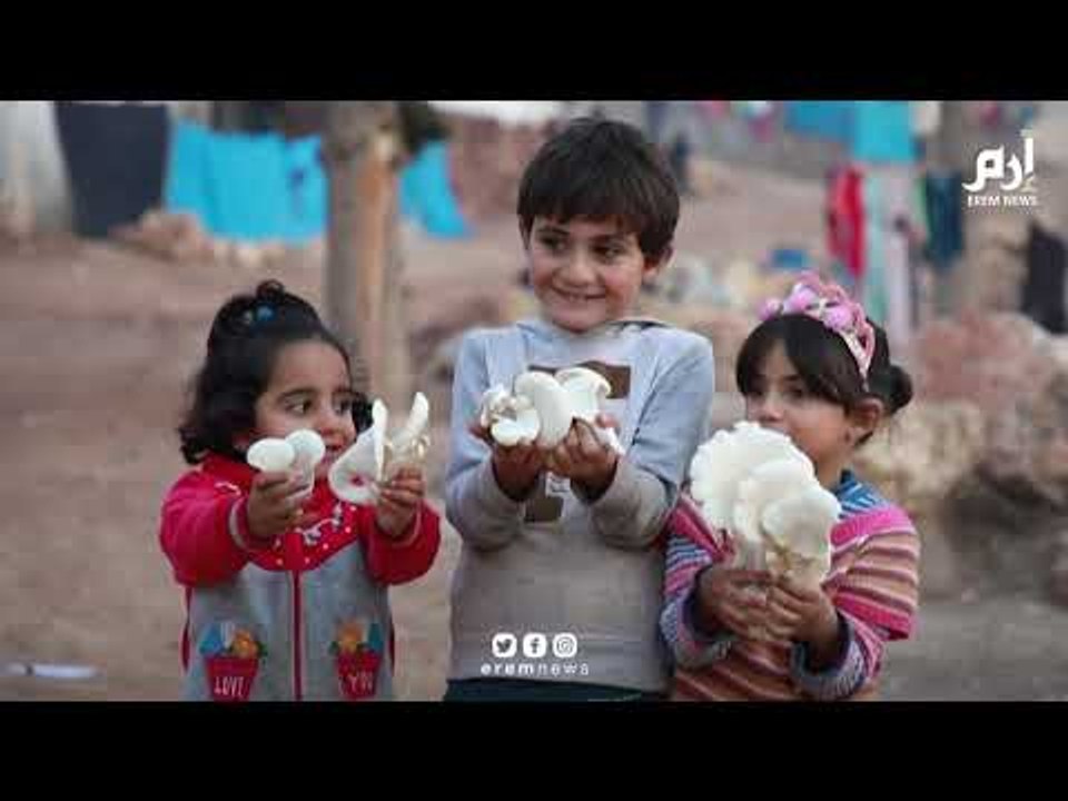 إرم نيوز | نازح سوري يتحدى غلاء المعيشة