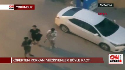 Köpekten korkan müzisyenler böyle kaçtı