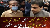 Lahore court grants Shehbaz Sharif, Hamza Shahbaz interim bail in sugar scandal case