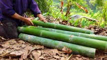 How To Build Amazing Puppy/Dog Home Using Bamboo