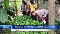 WAKAPOLDA PAPUA KUNJUNGI SPOT PERKEBUNAN, PERIKANAN & PETERNAKAN