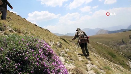 Oltulu doğa severler babalar için yürüdüler