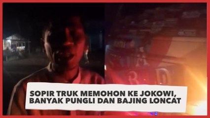 Viral Sopir Truk di Sumut Memohon ke Jokowi, Resah Banyak Pungli dan Bajing Loncat