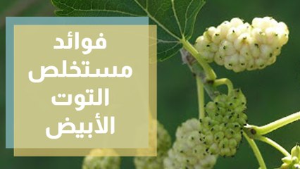 تعرفوا على فوائد مستخلص التوت الأبيض