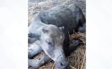 เรื่องพลบค่ำ ช่วงที่ 4 วันจันทร์ที่ 21 มิ.ย.64