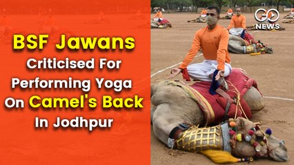 BSF Jawans Criticised For Performing Yoga On Camel's Back In Jodhpur