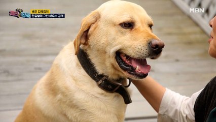 "너… 강아지 아니지…?" 배우 김혜정의 반려견 '칸'은 질투쟁이?
