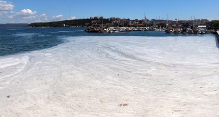 Müsilajın deniz altındaki görüntüsü tedirgin etti