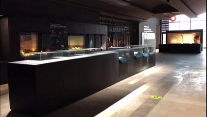 Tarihi eser kaçakçılarından ele geçirdikleri altın sikkeler, müzede kayboldu