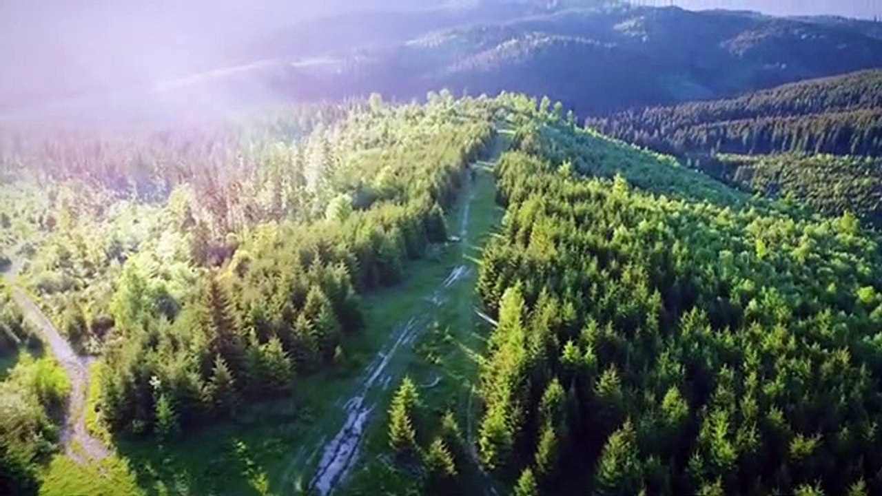 copyright free music | copyright free nature background video | copyright free nature video