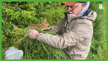 Un drone pour sauver Bambi