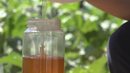 تحديات ومصاعب تواجه مربي النحل بالشمال السوري