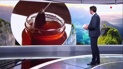 Apiculture durable : le miel de karité, un trésor venu du Bénin