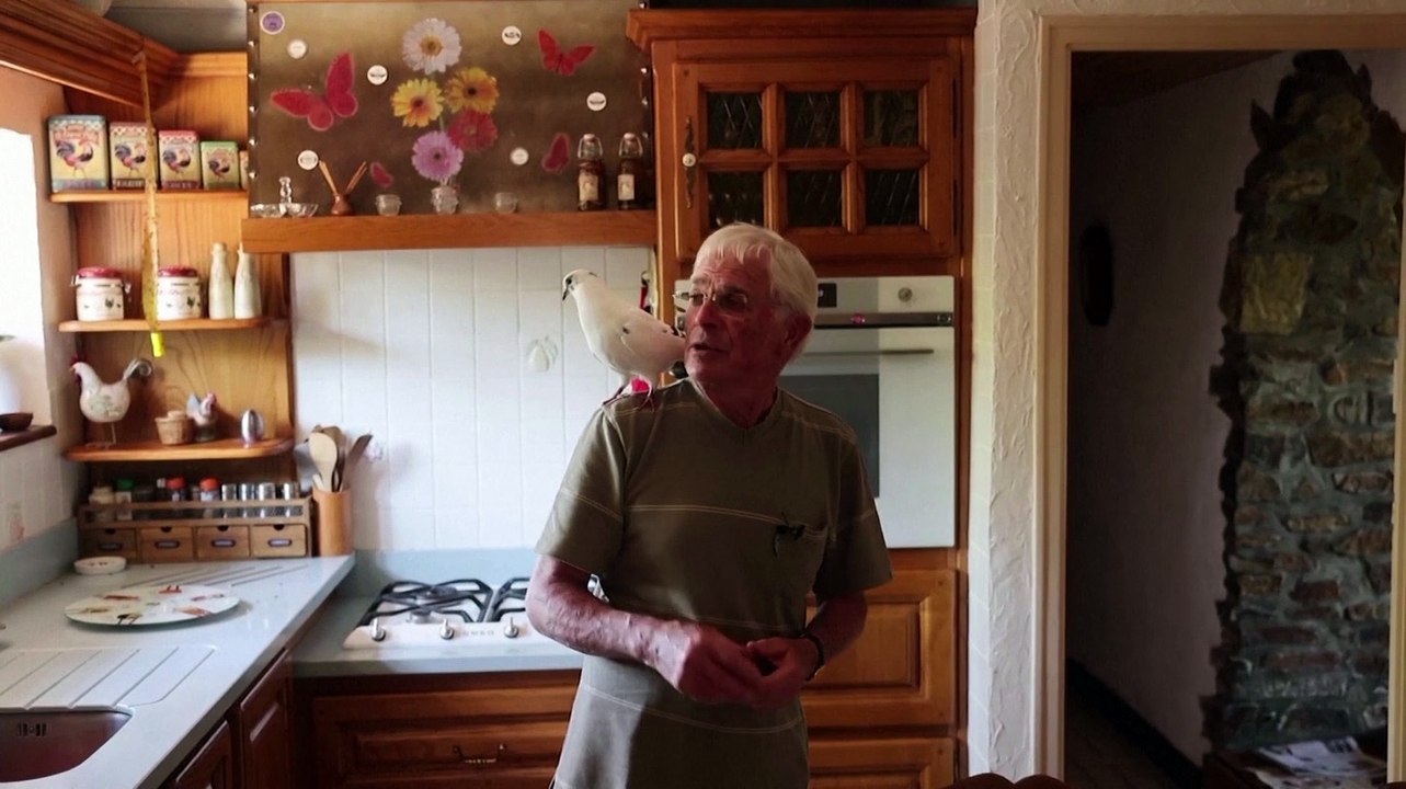 The old man and the bird: Pigeon chooses French man as friend