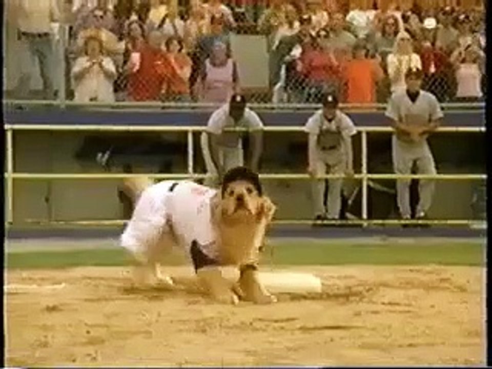 Opening To Snow Dogs 2002 VHS