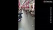 Un Jabalí se sube al metro en Hong Kong dejando a los pasajeros desconcertados