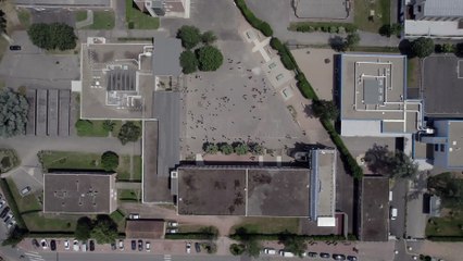 Journée du respect et de l'amitié