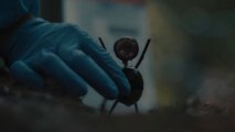 L'uomo delle castagne (Trailer HD)