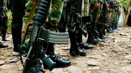 Download Video: Al menos 10 muertos deja la disputa entre disidencias de las Farc en el Huila