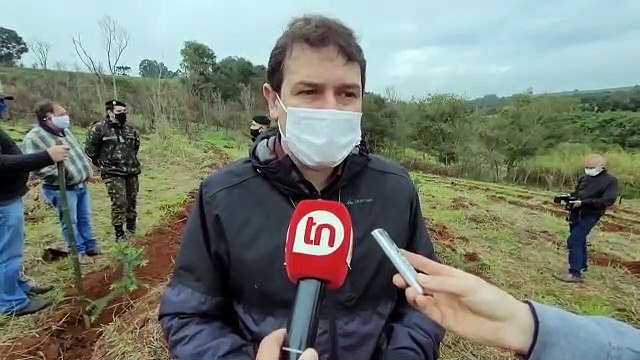 Militares realizam plantio de araucárias em Apucarana; veja