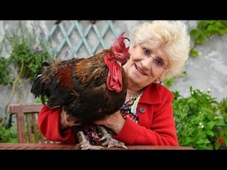 الديك موريس لن يصيح بعد اليوم #إرم_نيوز