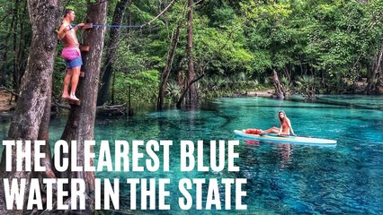 You Can Paddle Down This 4-Mile Sapphire Spring Run Near Tallahassee This Summer