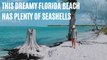 This Dreamy Florida Spot Only Locals Know About Is Perfect For Finding Seashells
