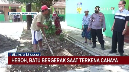 Batu Bergerak Saat Terkena Cahaya Hebohkan Warga Jember, Pertama Kali Ditemukan Tukang Gali
