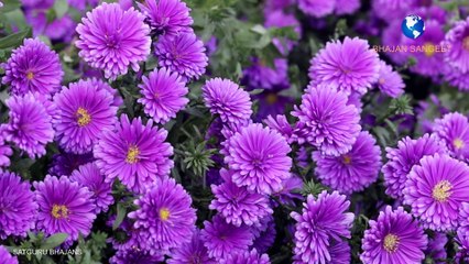 गुरु महाराजी भजन | Prem rawat bhajans | Hoshiyar rehna nagar me chor ayega bhajan | Satguru maharaji bhajan | by suman and team