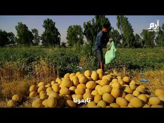 كوفيد-19 يعطي دفعة إيجابية للمزارعين العراقيين #إرم_نيوز
