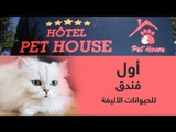 #إرم_نيوز .. لأول مرة.. فندق للحيوانات الأليفة في تونس