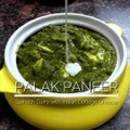Spinach Indian Cottage Cheese or Palak Paneer