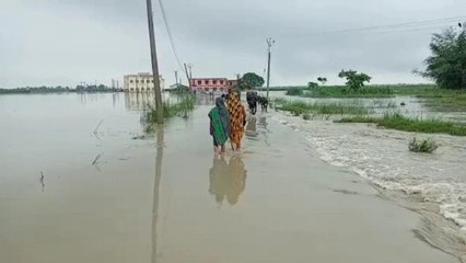 Download Video: Water discharged from Nepal causes flood situation in Bihar