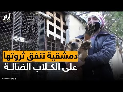 آني أورفلي دمشية تنفق ثروتها على الكلاب الضالة #إرم_نيوز