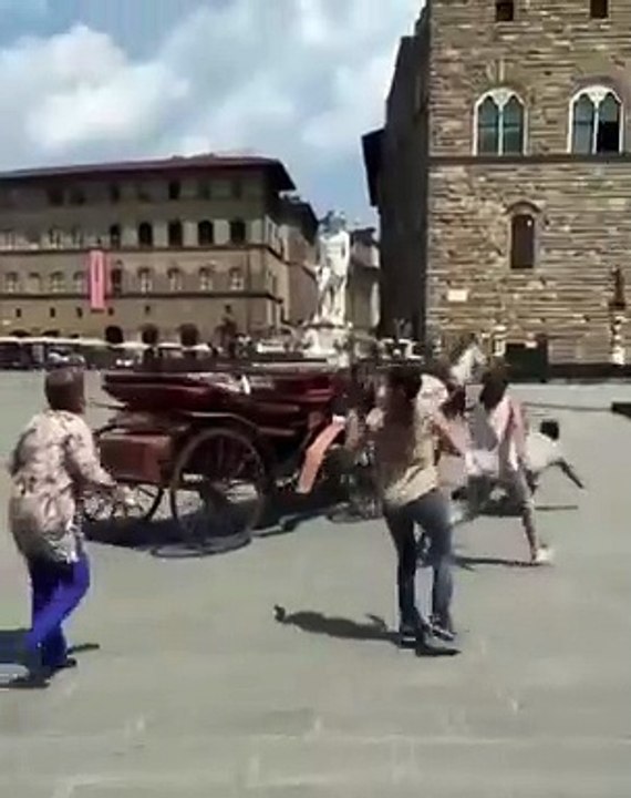 Ce cheval en avait marre de tirer sa calèche (Florence)