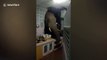 Un éléphant détruit un mur à coup de tête pour voler de la nourriture dans une cuisine