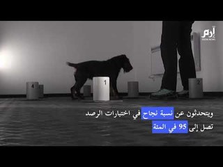 تشيكيون يدرّبون الكلاب على رصد الإصابات بكورونا، فكيف تتم العملية؟