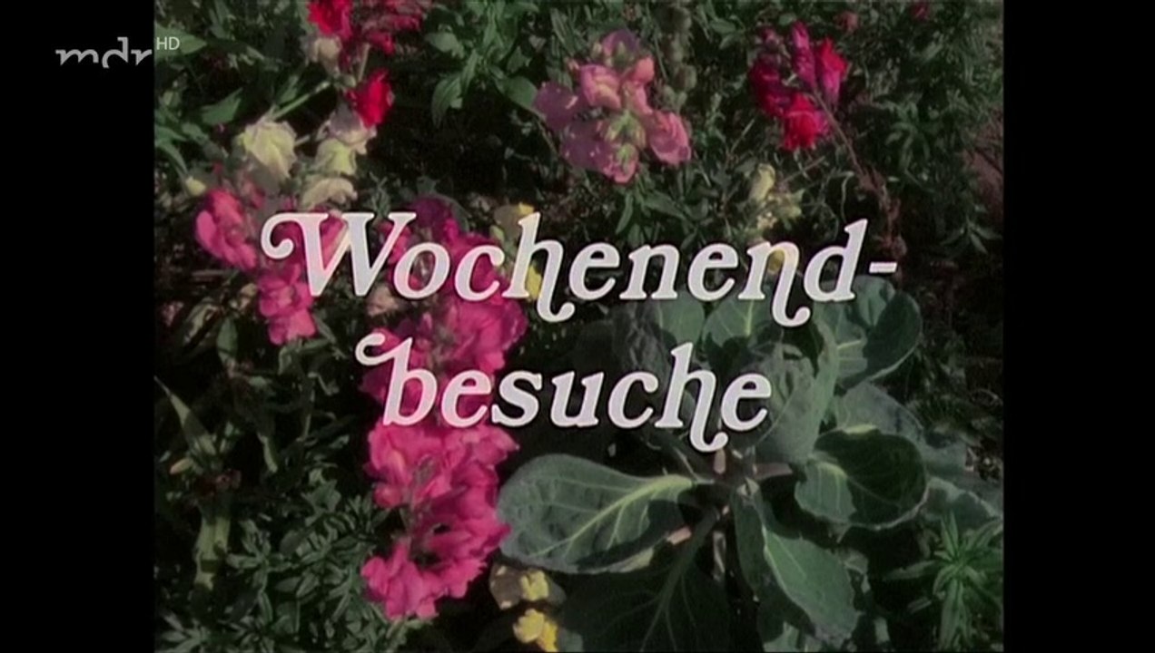 Geschichten übern Gartenzaun - 04. Wochenendbesuche