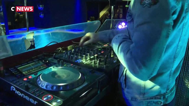 Les discothèques enfin fixées sur leur réouverture