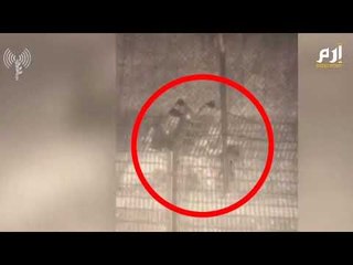 محاولة تسلل من لبنان نشر صورها الجيش الإسرائيلي